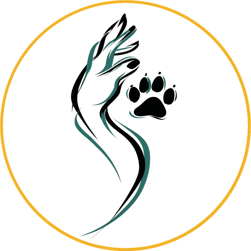 Sesion de clanes para socializacion canina con grupo de perras y perros