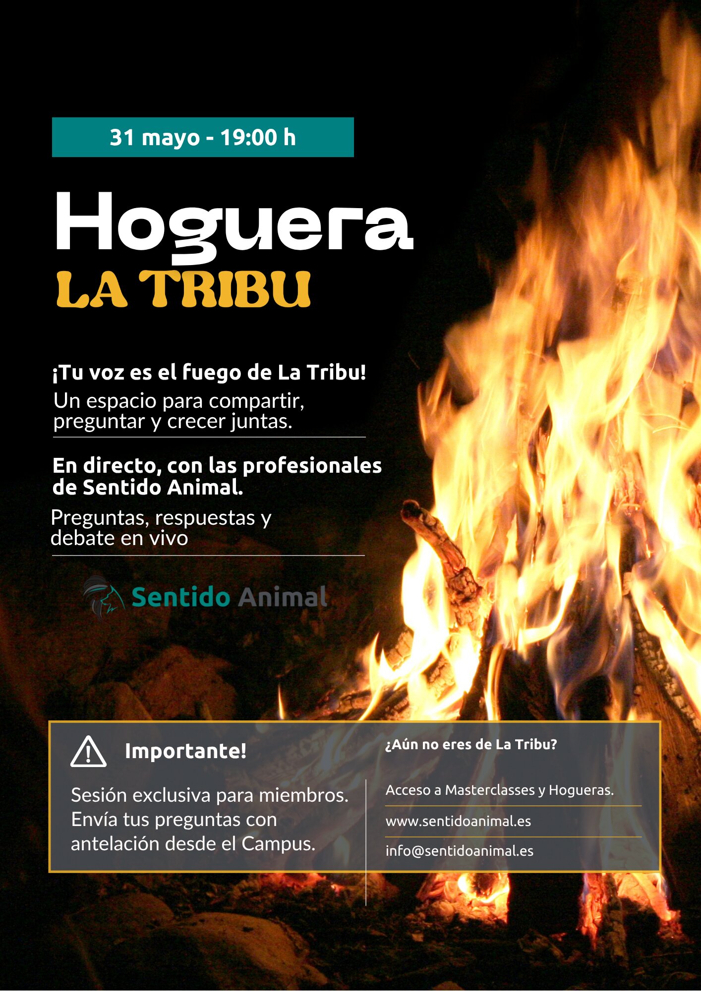 Cartel de la Hoguera de La Tribu del 31 de mayo a las 19:00 con llamas de fondo y logo de Sentido Animal