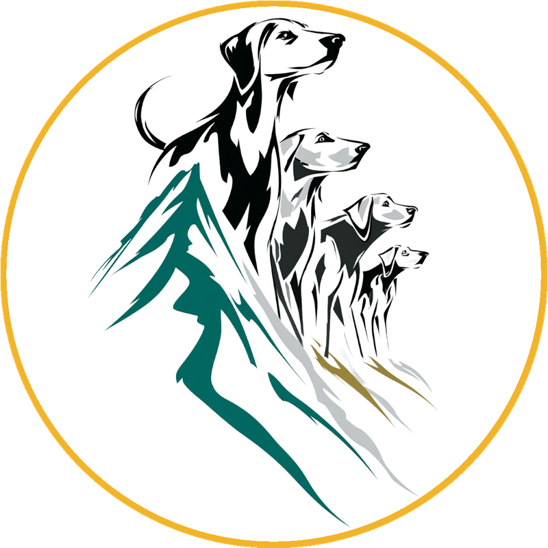 Senderismo en grupo con perros por la sierra de Madrid