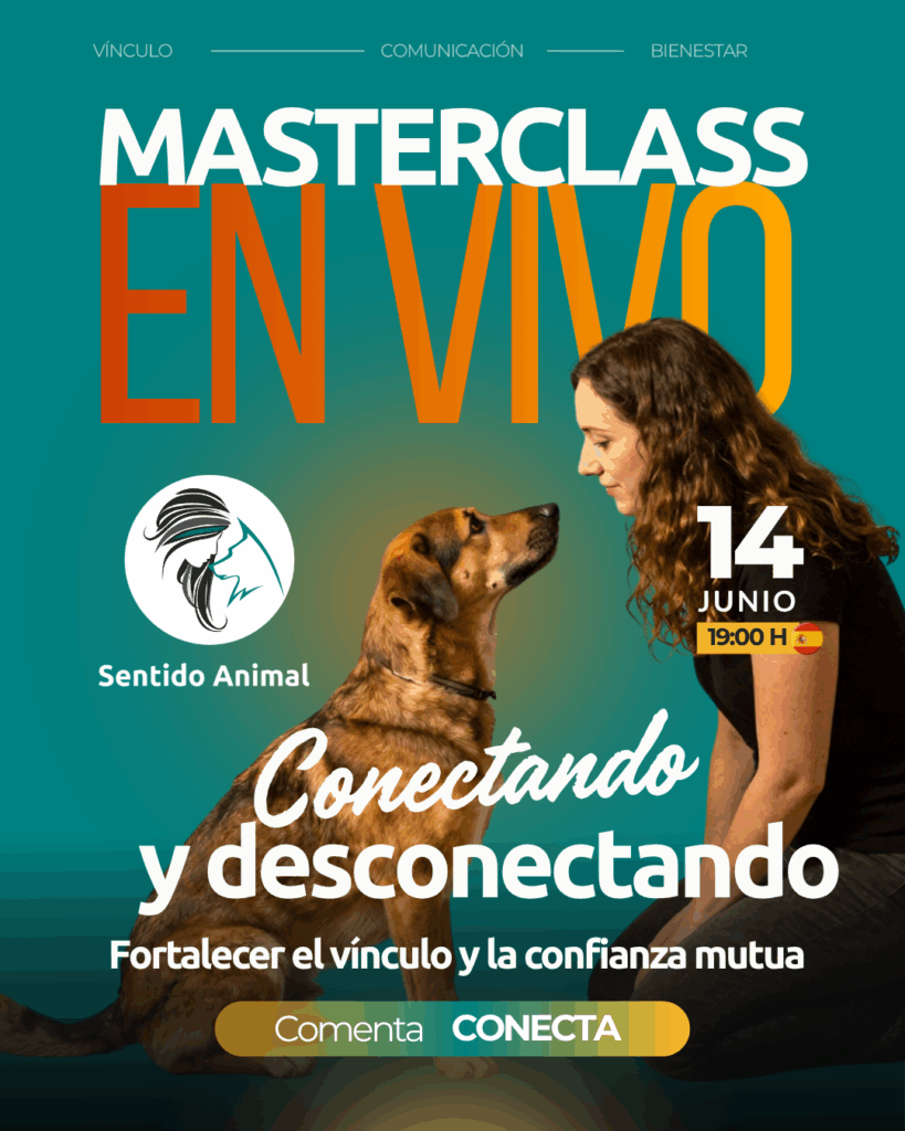 Masterclass en vivo Conectando y desconectando de Sentido Animal: educadora y perro mirándose para fortalecer el vínculo, 14 de junio