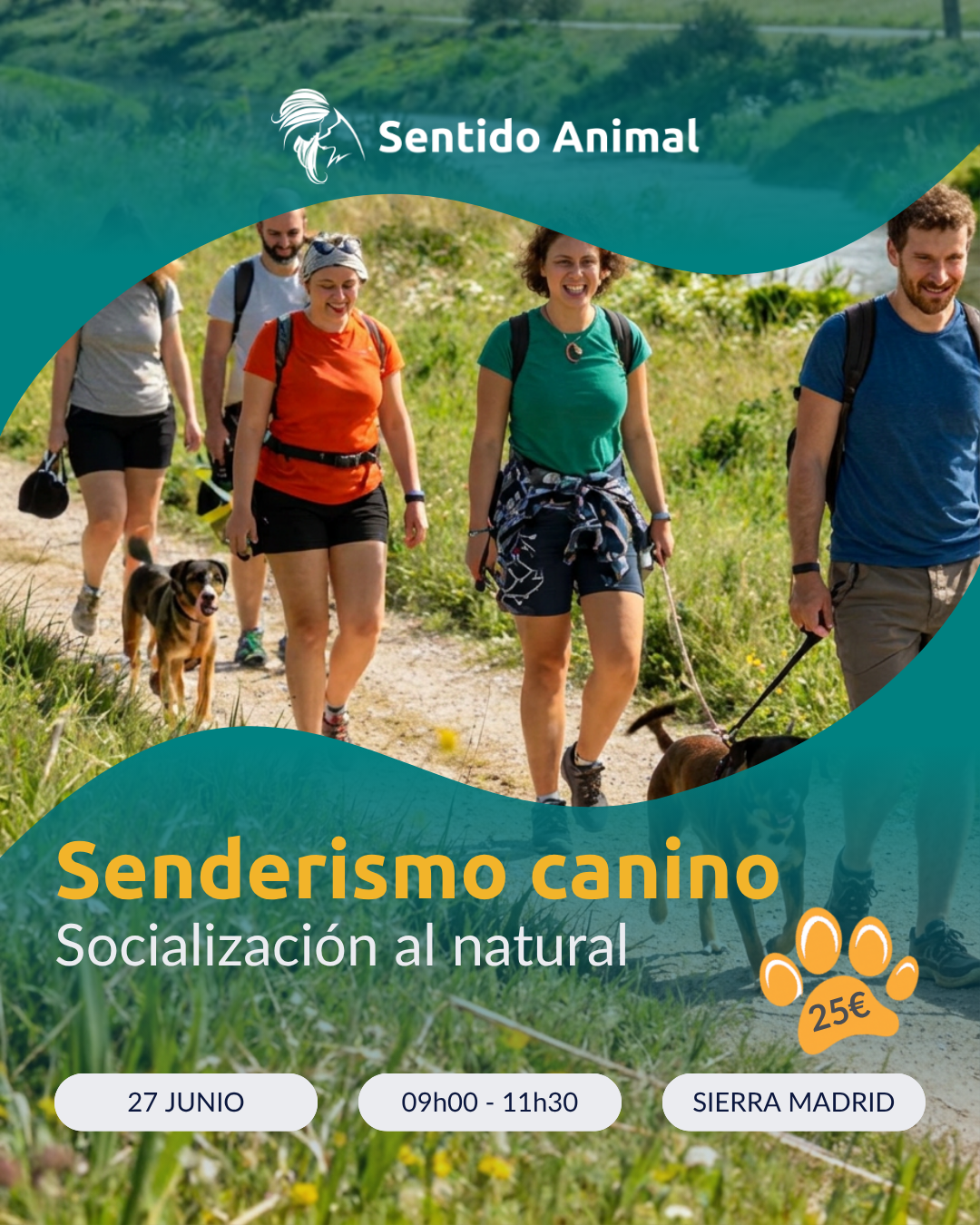 Senderismo canino de Sentido Animal en la sierra de Madrid: grupo de personas paseando con sus perros por el campo, socialización al natural, 27 de junio