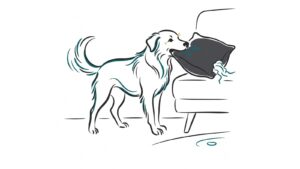 Perro mordiendo un cojín del sofá al quedarse solo, ilustración line art de Sentido Animal