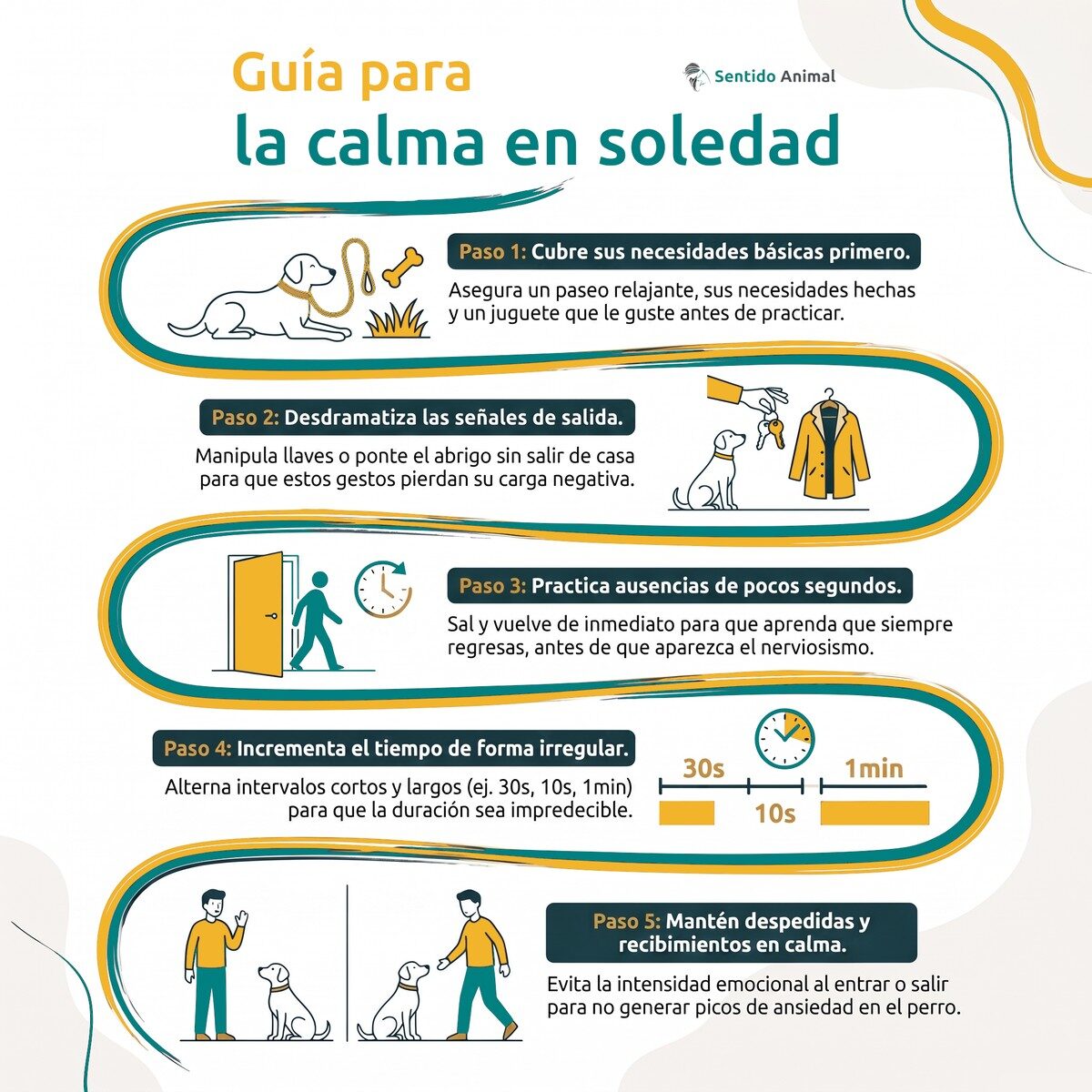 Guía visual para la calma en soledad: 5 pasos para enseñar a tu perro a quedarse solo