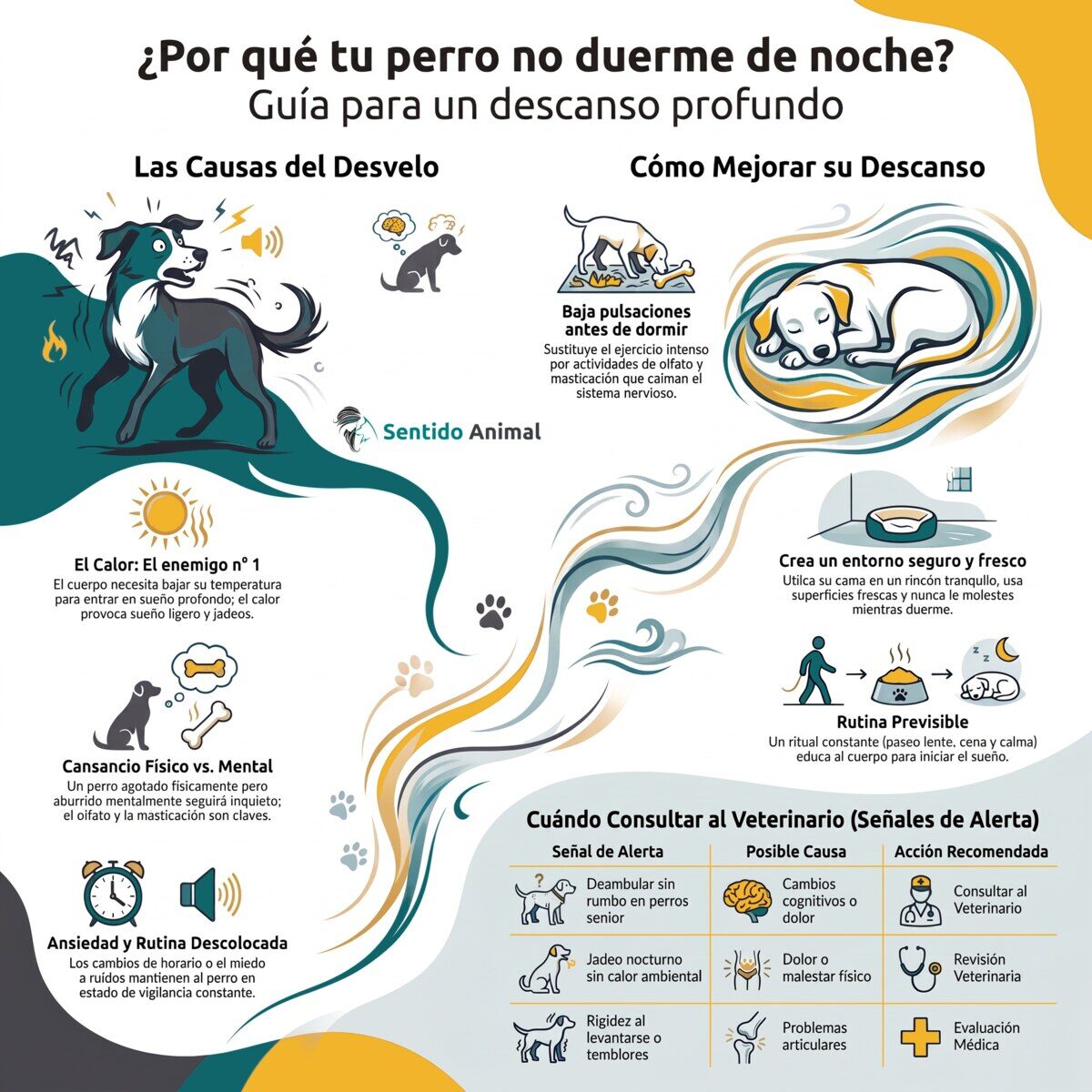 Infografía: guía del sueño canino, horas por edad, impacto en la conducta y entorno ideal