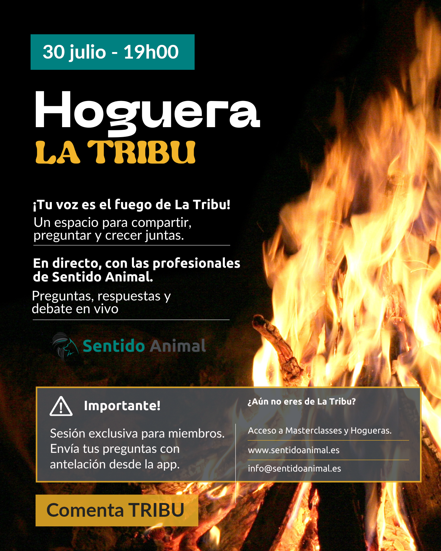 Cartel de la Hoguera de La Tribu de Sentido Animal, directo de dudas