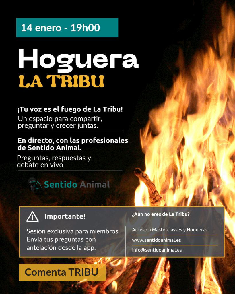 Cartel de la Hoguera de La Tribu de Sentido Animal, directo de dudas