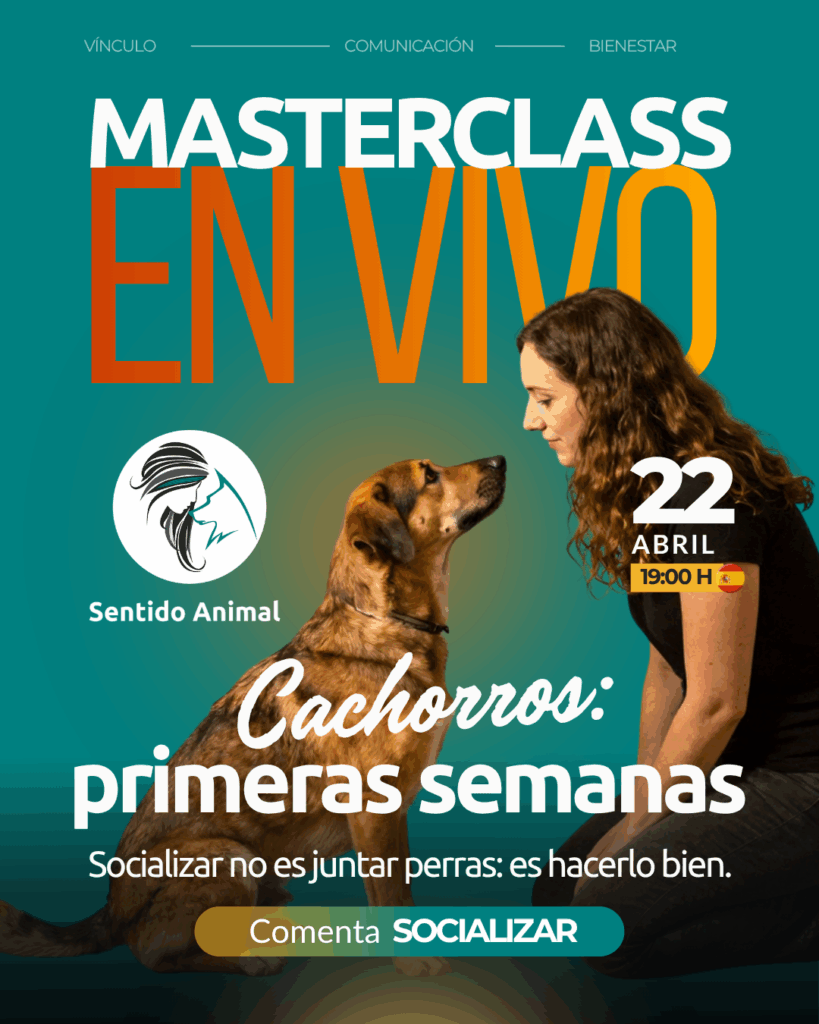 Cartel de la masterclass Cachorros, las primeras semanas, jueves 22 de abril