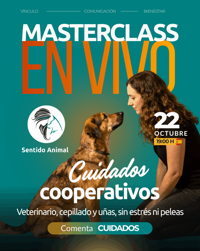 Cartel de la masterclass Cuidados cooperativos, jueves 22 de octubre