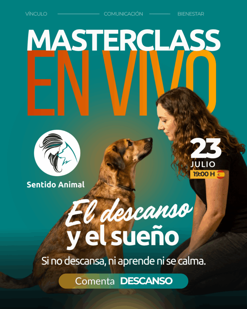 Cartel de la masterclass El descanso y el sueño, jueves 23 de julio