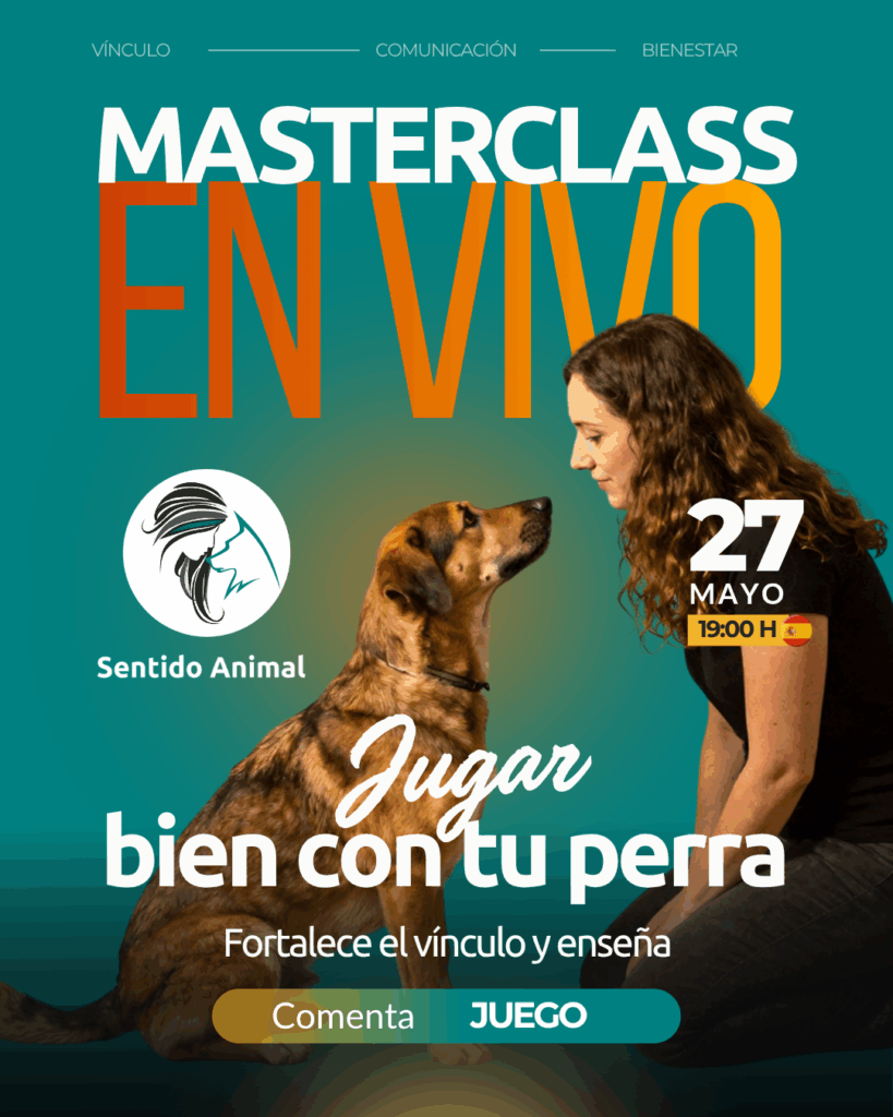 Cartel de la masterclass El juego, jueves 27 de mayo