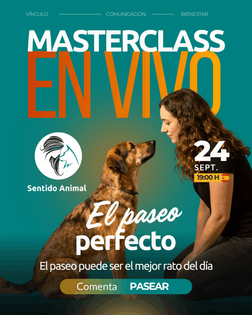 Cartel de la masterclass El paseo perfecto, jueves 24 de septiembre