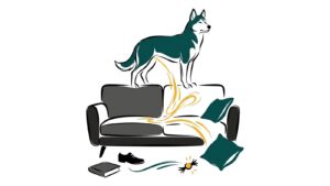 Husky de pie sobre el sofá haciéndose pis junto a un cojín y un zapato, ilustración line art de Sentido Animal
