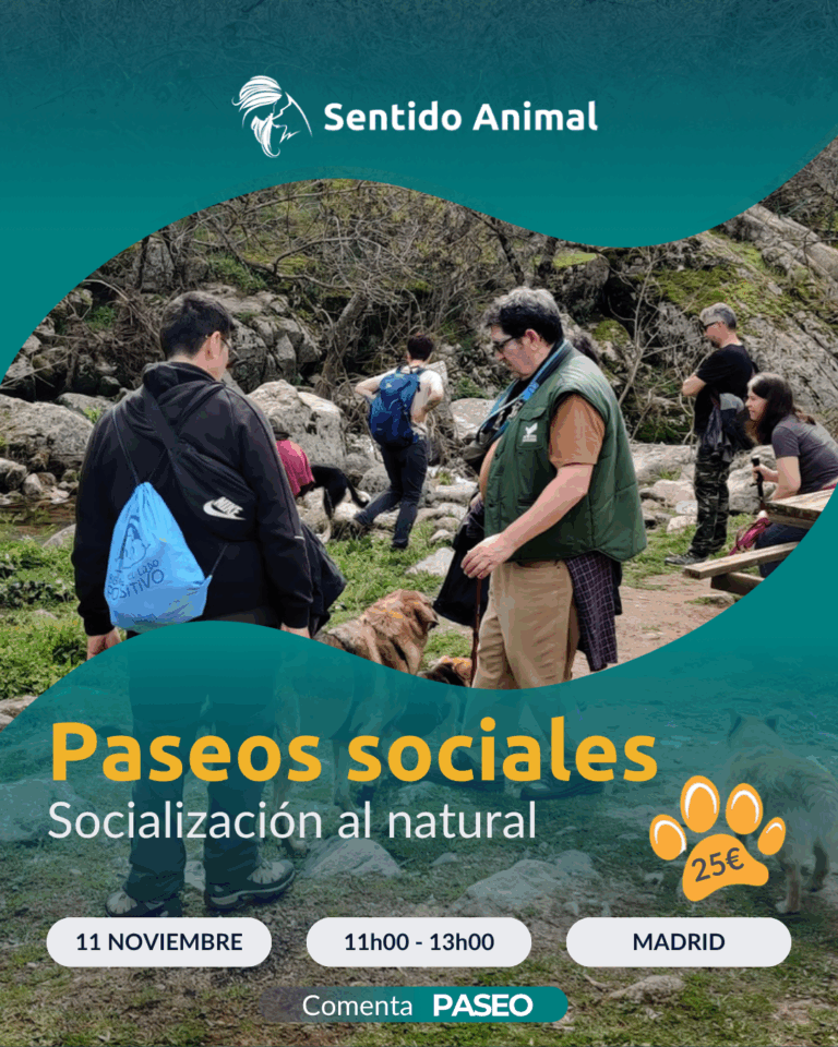 Cartel De Paseos Sociales De Sentido Animal, Socialización Al Natural En Madrid