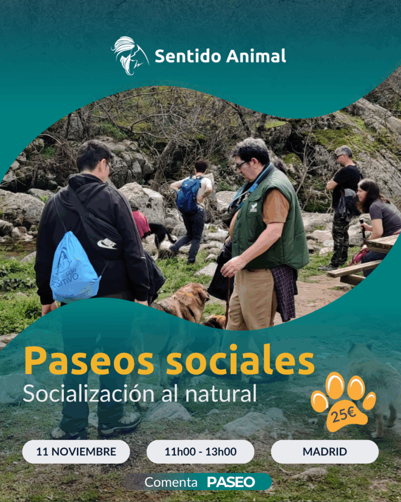 Cartel de Paseos sociales de Sentido Animal, socialización al natural en Madrid