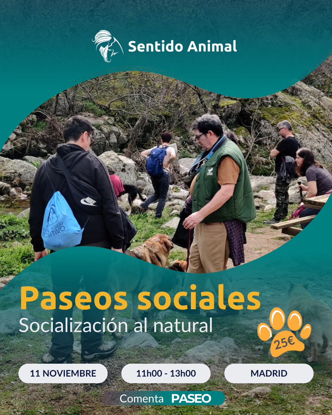 Cartel de Paseos sociales de Sentido Animal, socialización al natural en Madrid