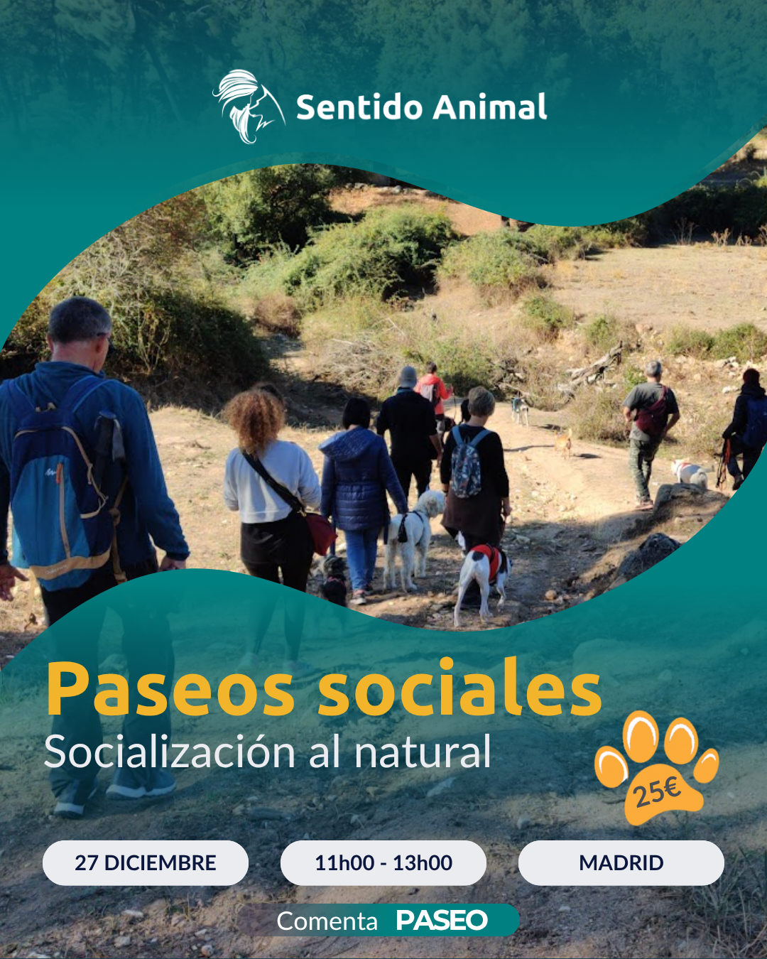 Cartel de Paseos sociales de Sentido Animal, socialización al natural en Madrid