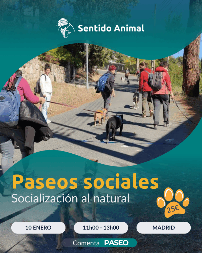 Cartel De Paseos Sociales De Sentido Animal, Socialización Al Natural En Madrid