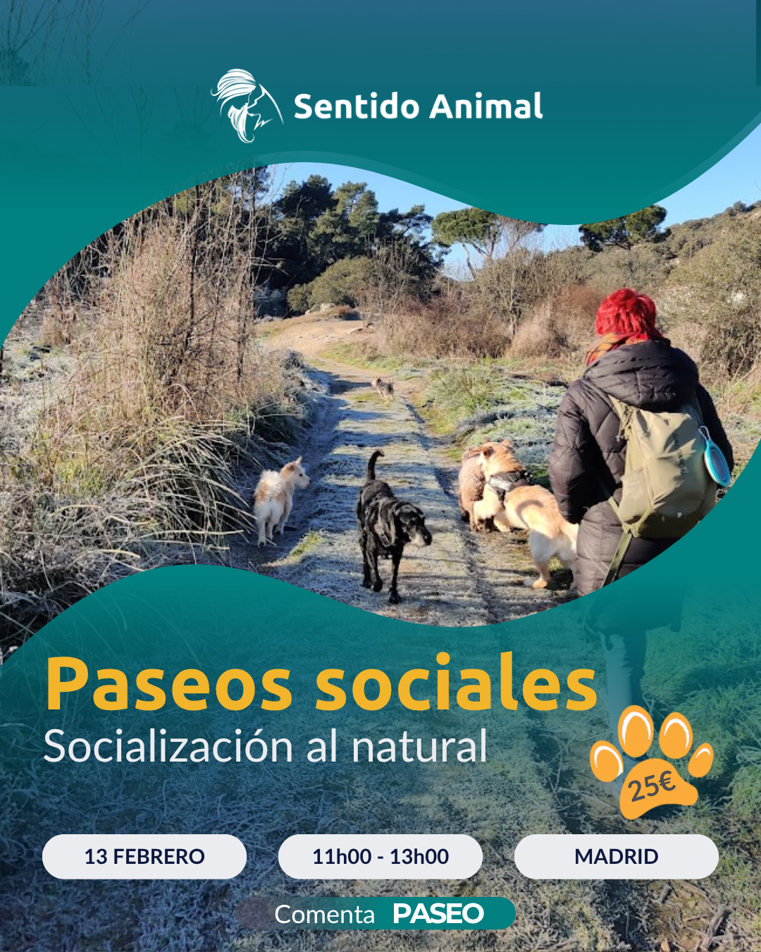 Cartel de Paseos sociales de Sentido Animal, socialización al natural en Madrid