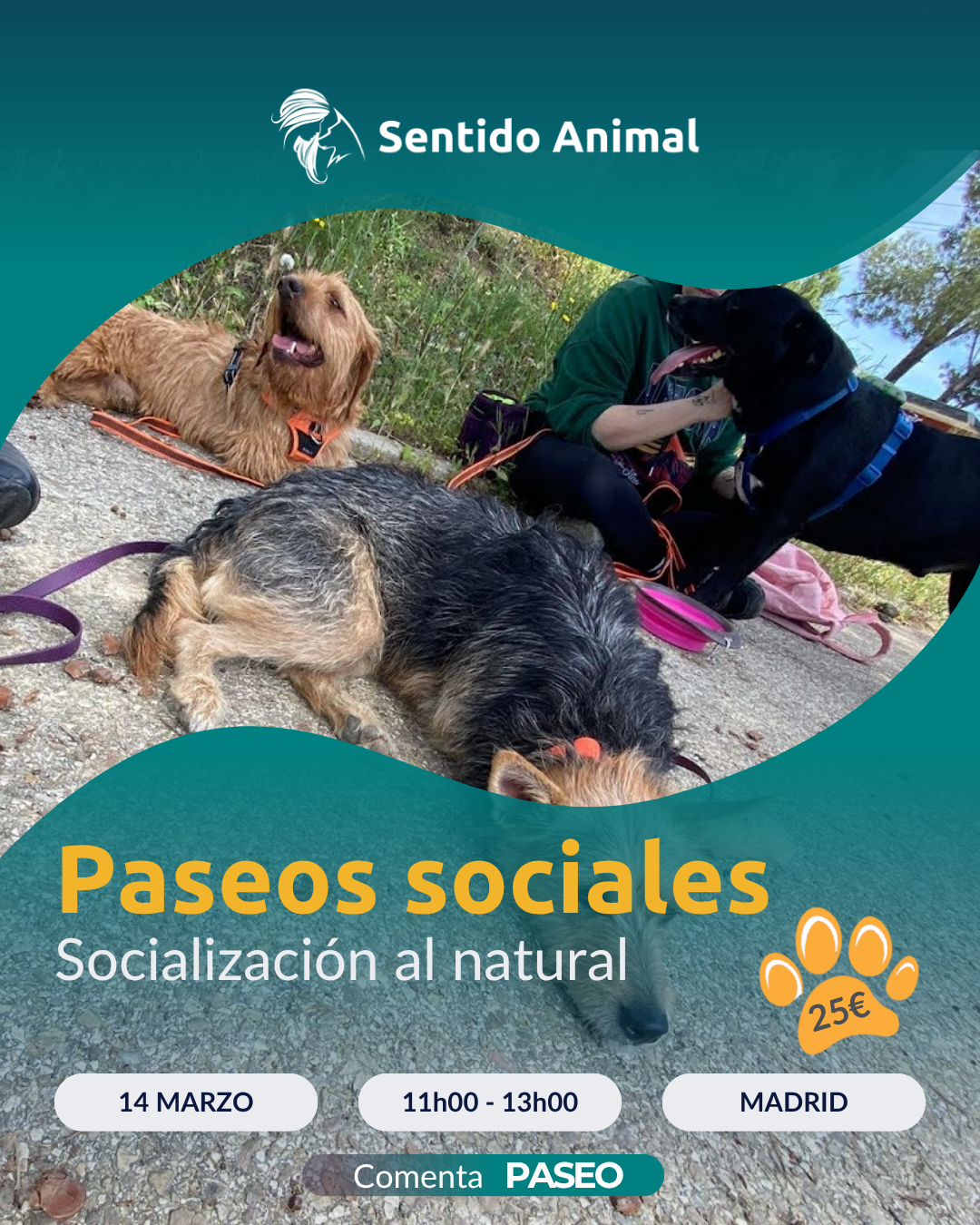 Cartel de Paseos sociales de Sentido Animal, socialización al natural en Madrid