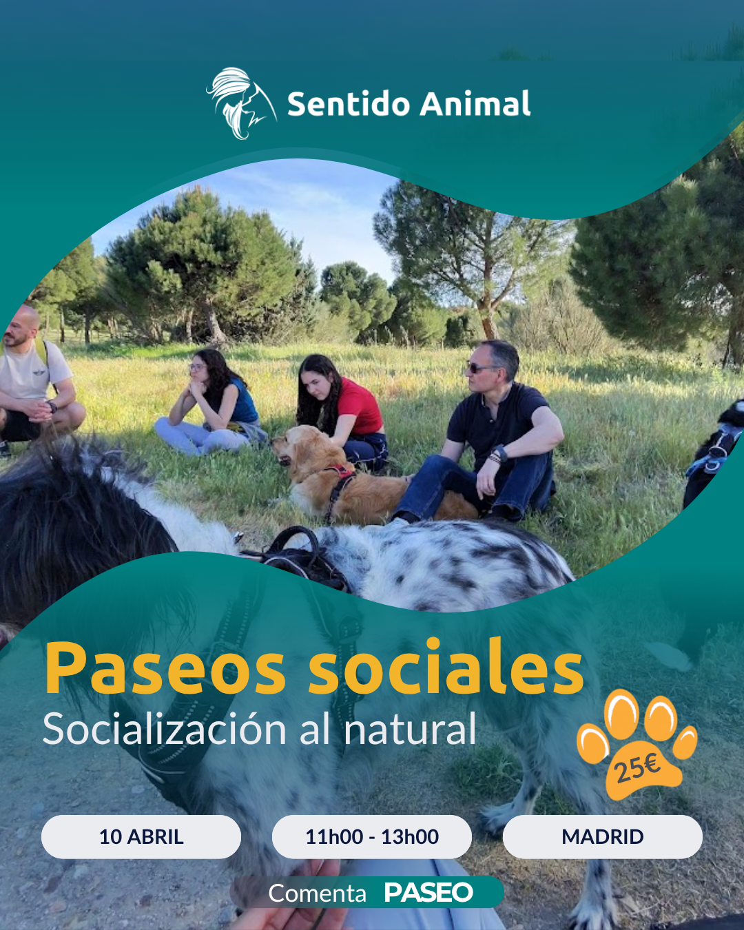 Cartel de Paseos sociales de Sentido Animal, socialización al natural en Madrid