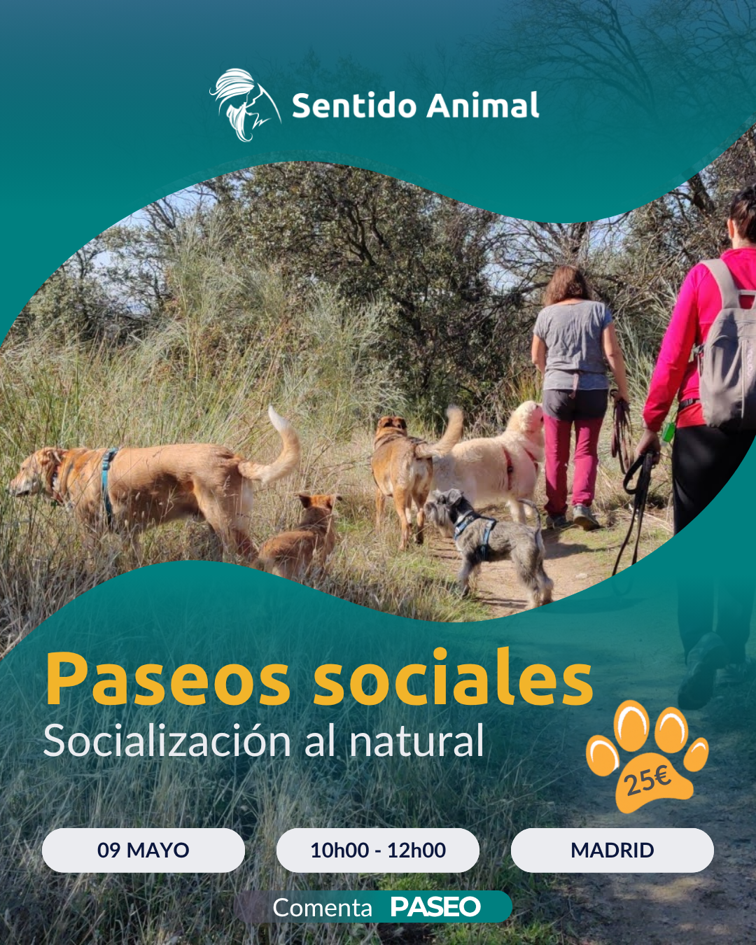 Cartel de Paseos sociales de Sentido Animal, socialización al natural en Madrid
