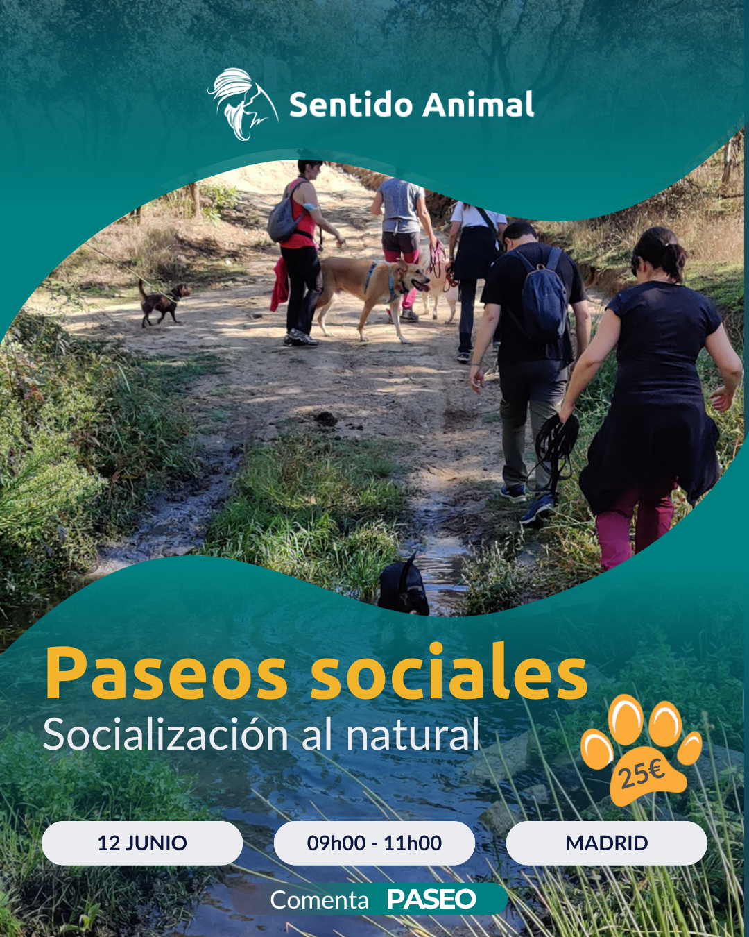 Cartel de Paseos sociales de Sentido Animal, socialización al natural en Madrid