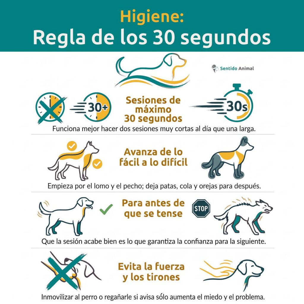 Infografía de higiene, la regla de los 30 segundos: sesiones cortas, avanza de lo fácil a lo difícil, para antes de que se tense y evita la fuerza y los tirones. De Sentido Animal