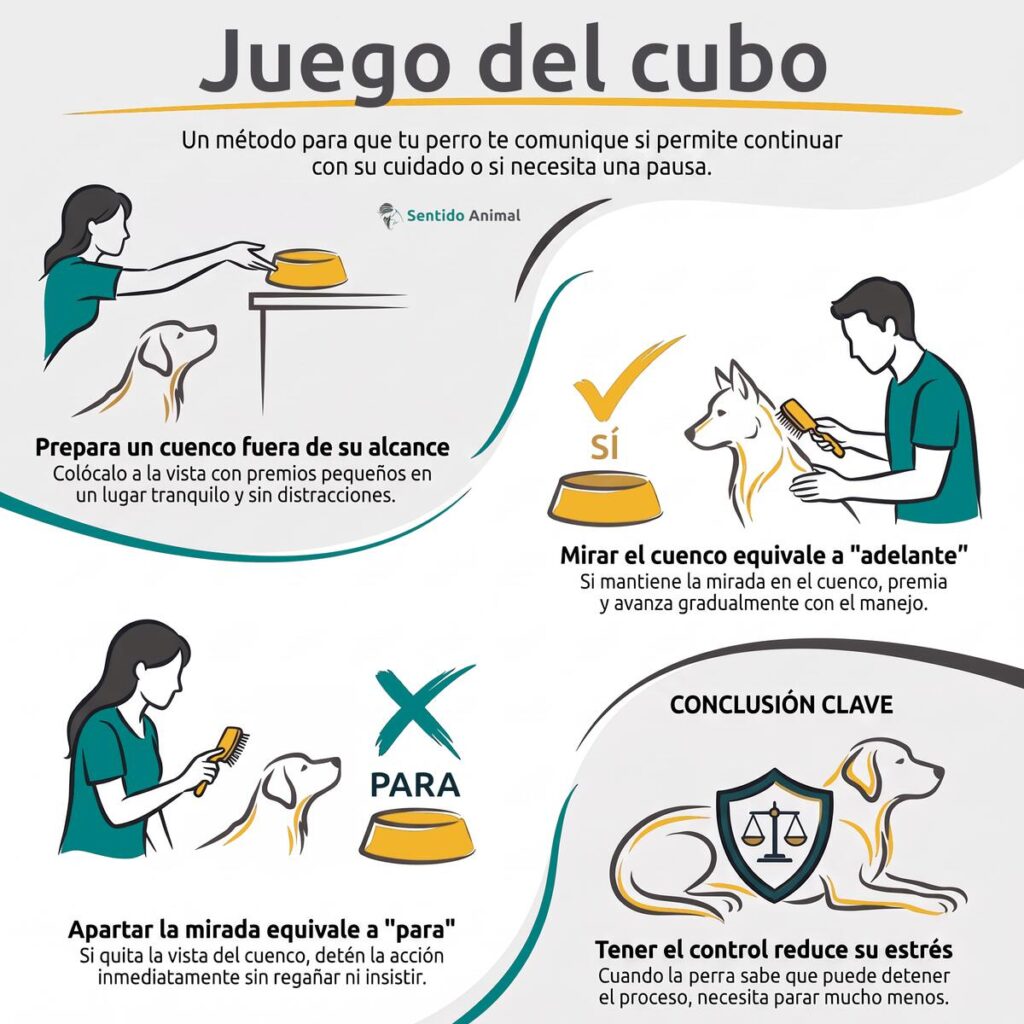 Infografía del juego del cubo: prepara un cuenco con premios fuera de su alcance; si lo mira, sí, sigues; si aparta la mirada, para; tener el control reduce su estrés. De Sentido Animal